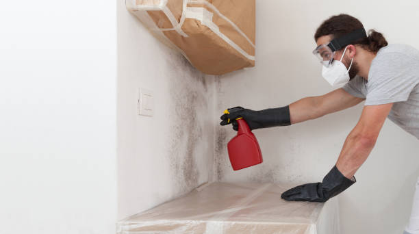 Professional Mold Removal technician working in Woodmere, NY